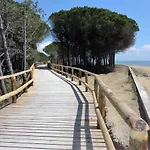 Apartamento In 38279 *