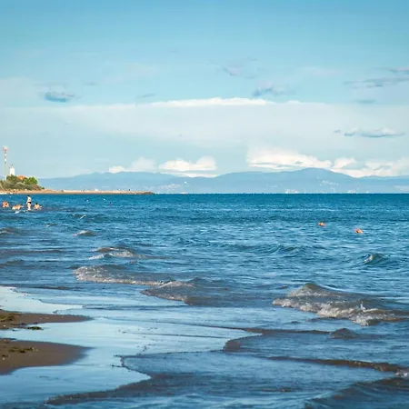 In 38279 비비오네